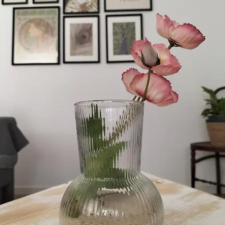 Appartement Gades Conil C